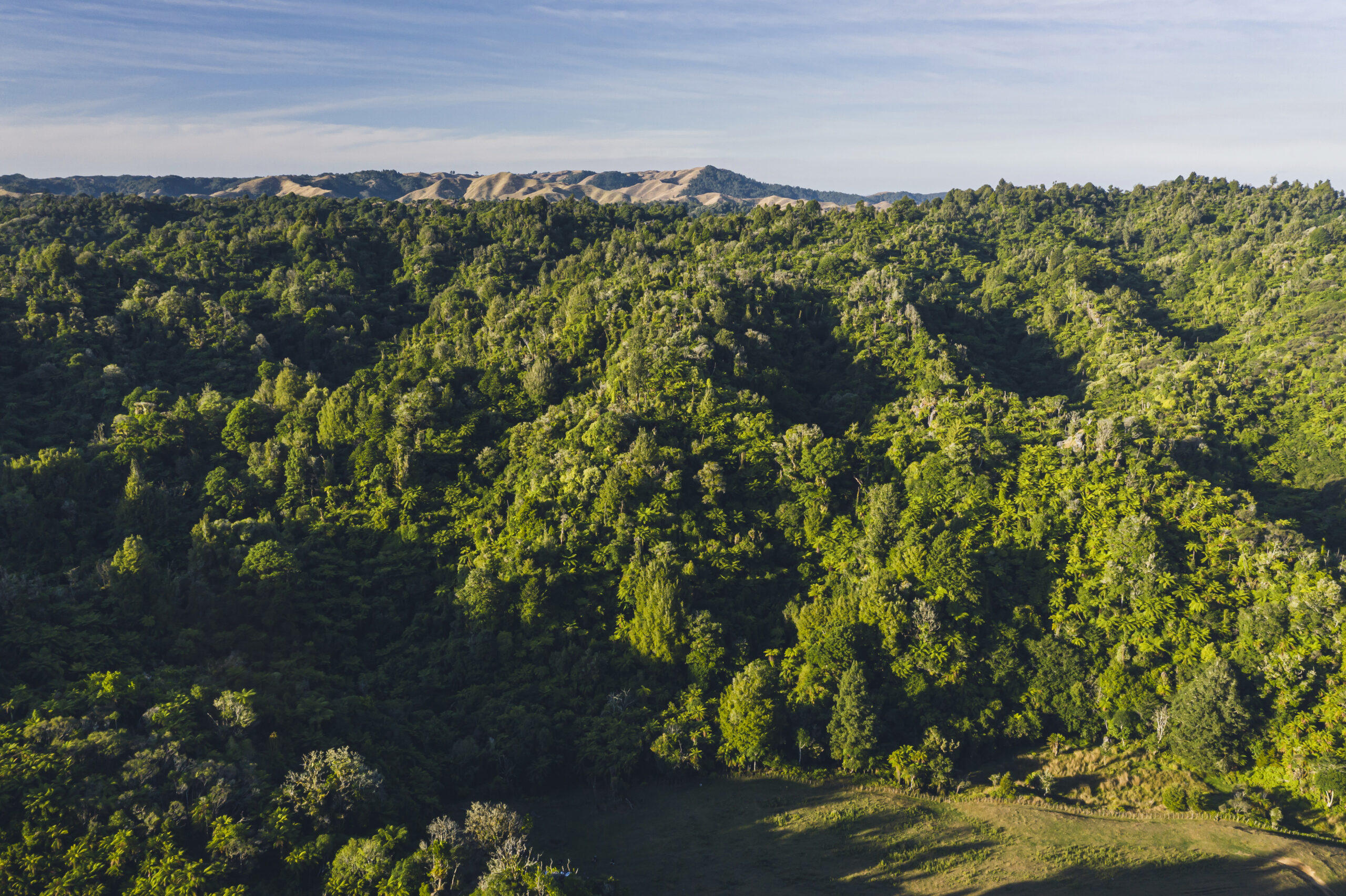 A new way of seeing the big picture – Introducing our protected areas ...